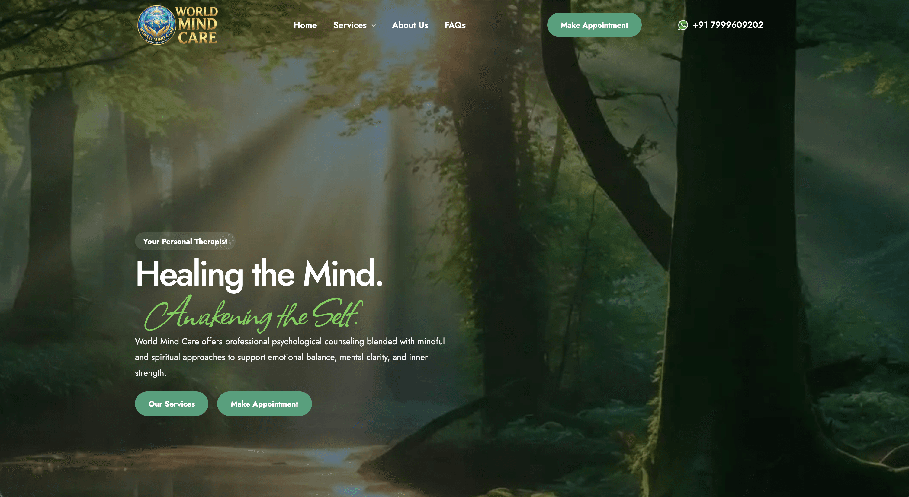 World Mind Care